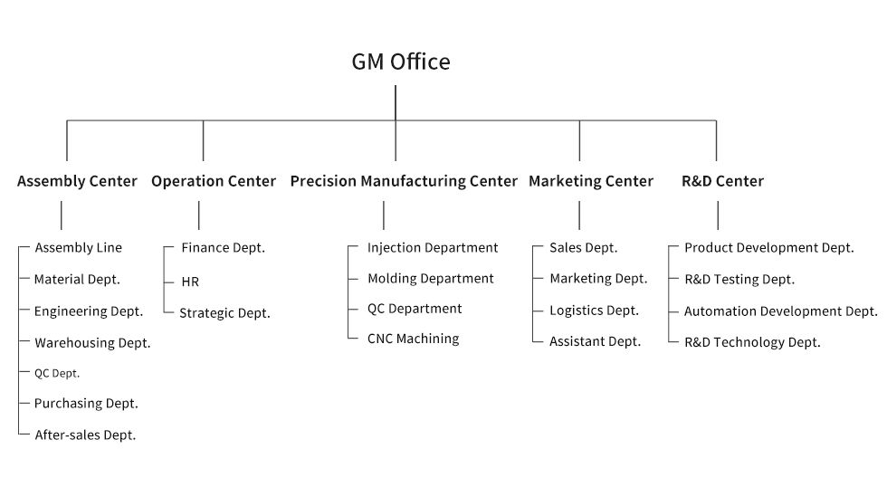 company structure