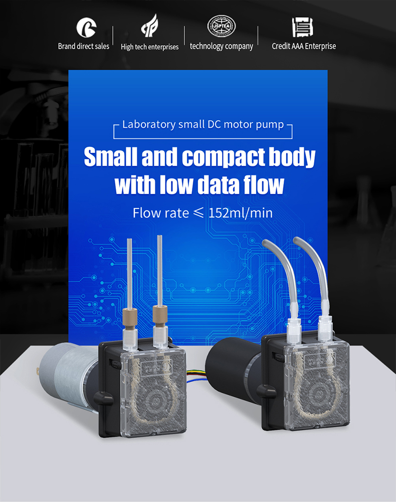 zl-ws-ys-rz01b-dc-motor-peristaltic-pump-specification01.jpg